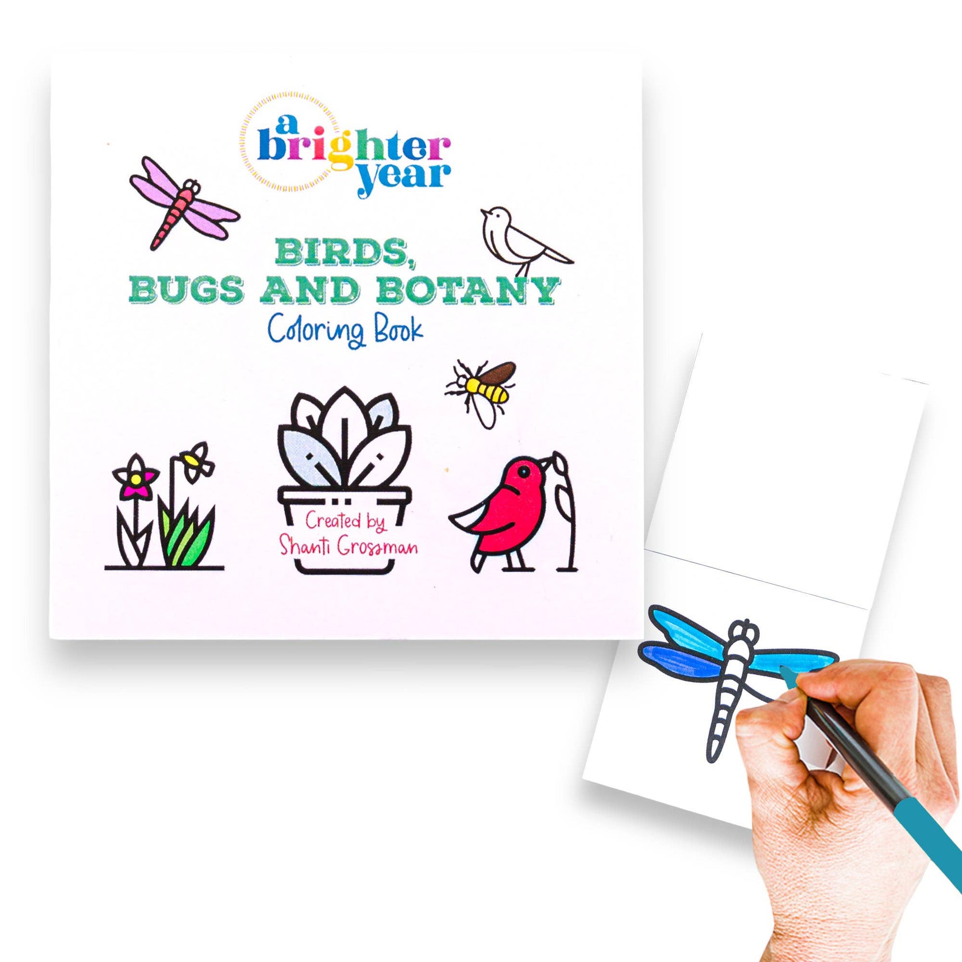 Bird Bugs and Botany Mini Coloring Book - TheShabbyWick