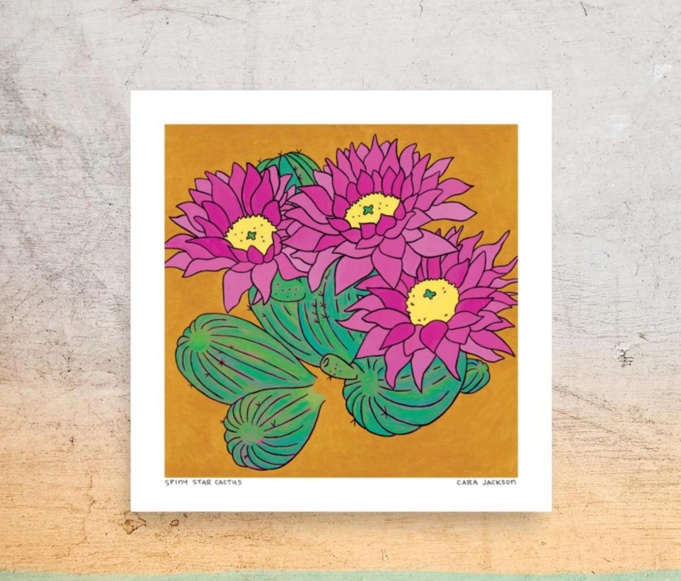 Spiny Star Cactus Print - TheShabbyWick