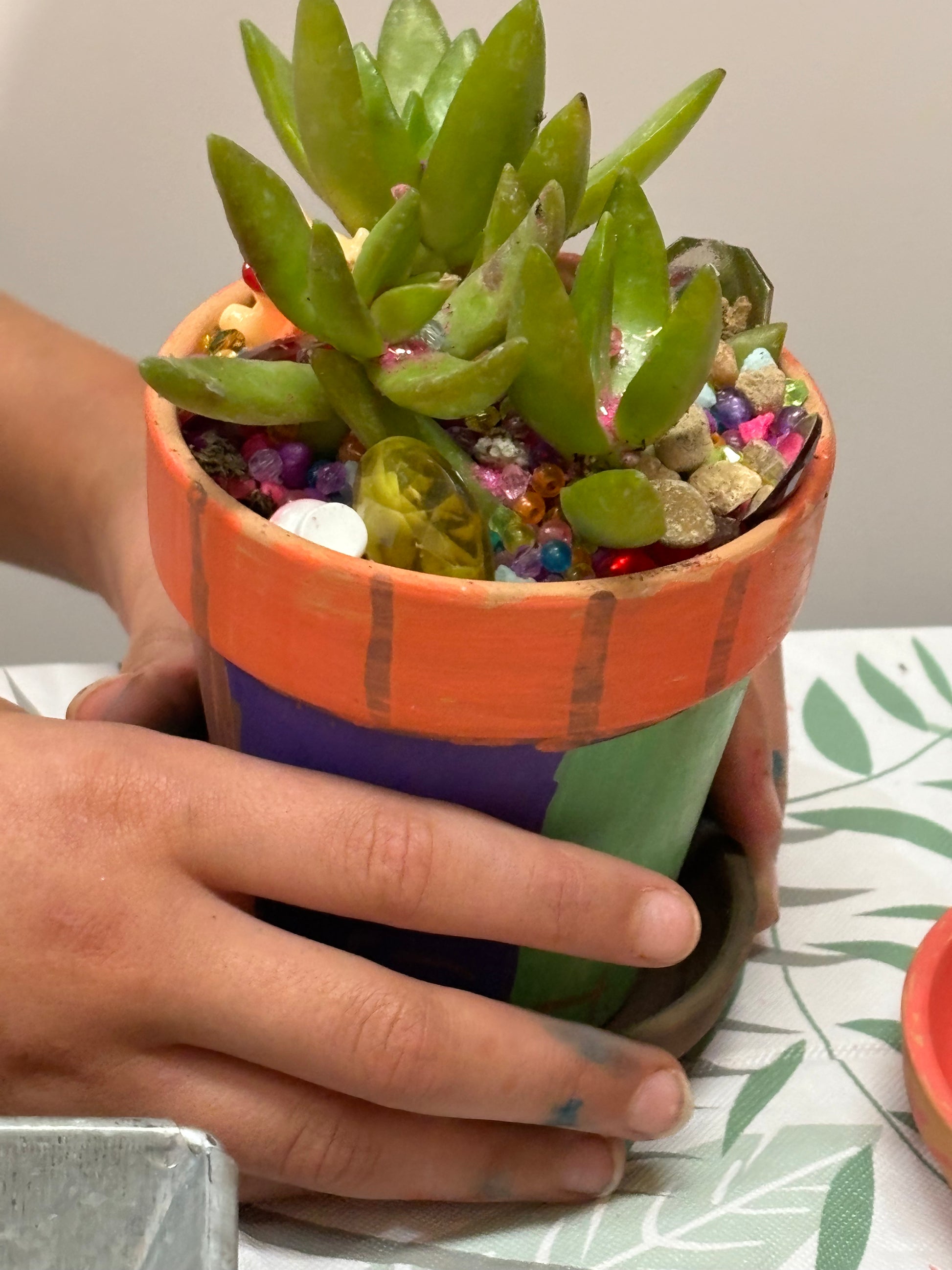 3/17 10:30 Kids DIY Craft Succulent Workshop - TheShabbyWick