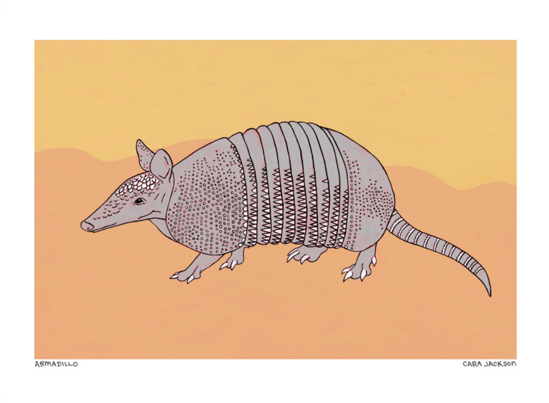 Armadillo Print - TheShabbyWick