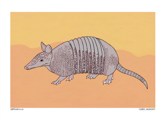 Armadillo Print - TheShabbyWick