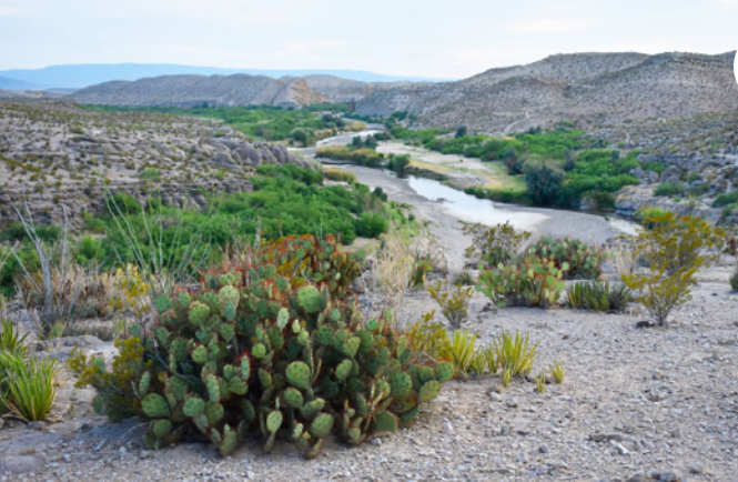 Rio Grande Art Print - TheShabbyWick