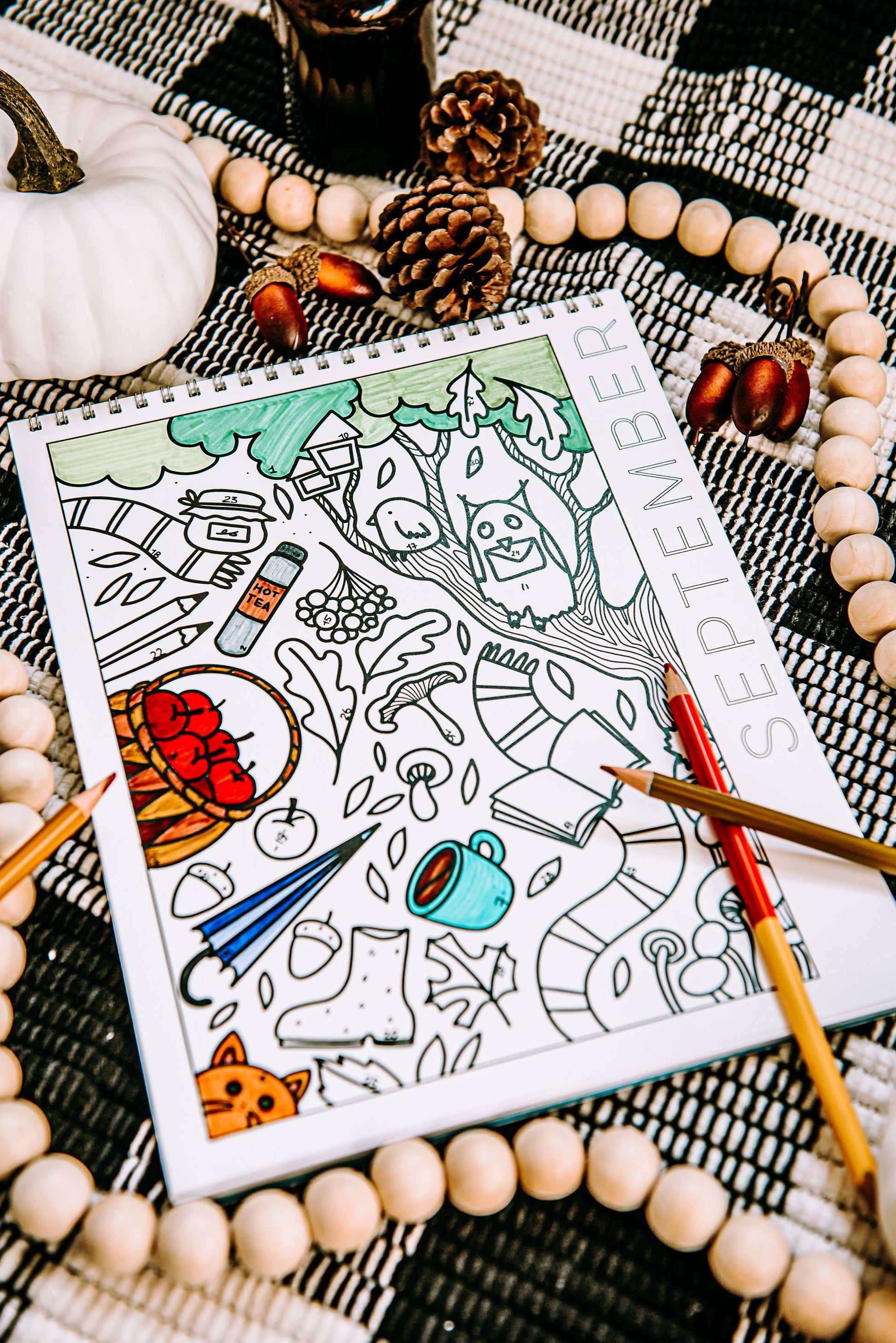 18 Month Color by Day Pages Coloring Book - TheShabbyWick